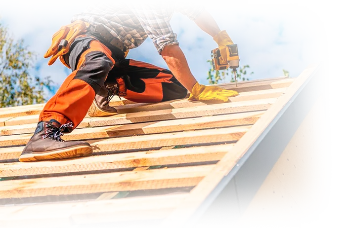 Команда профи